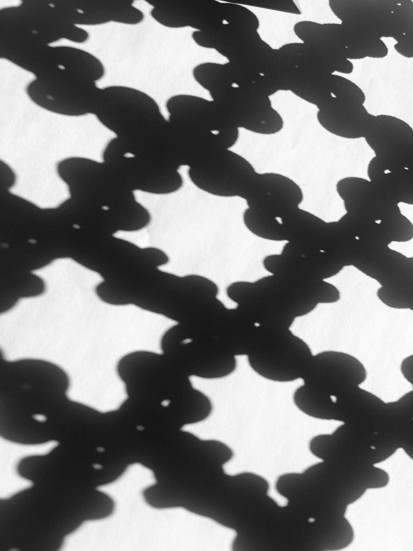 GRIGLIA | GRID